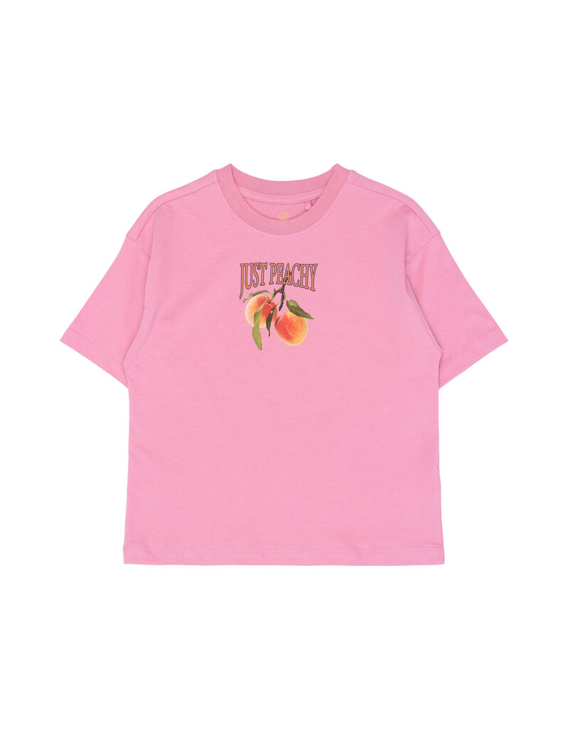 The New Tenna Tee Cashmere Rose