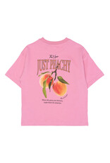 The New Tenna Tee Cashmere Rose