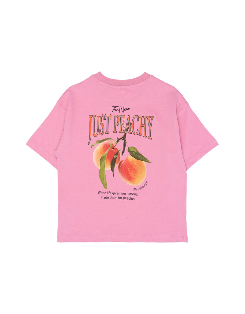 The New Tenna Tee Cashmere Rose