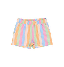 The New Trace Shorts Multi Striped