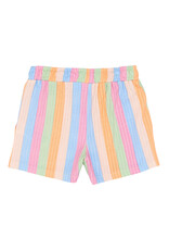 The New Trace Shorts Multi Striped