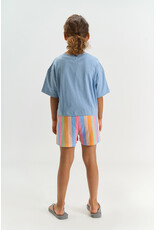 The New Trace Shorts Multi Striped