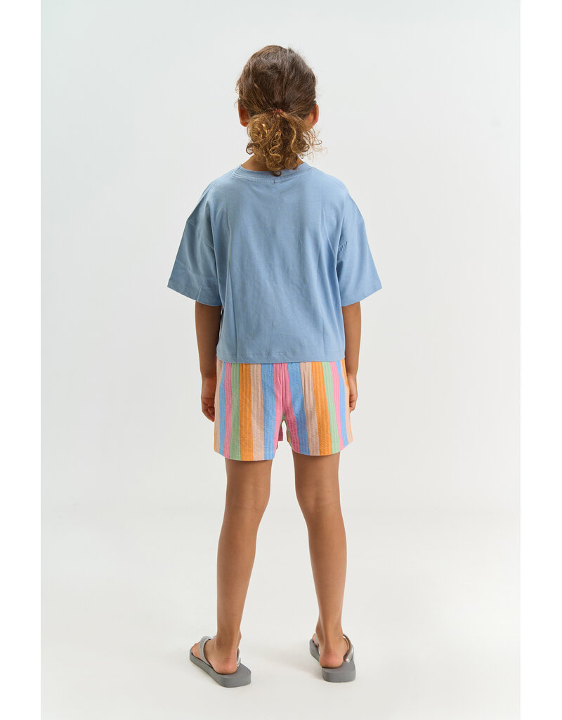 The New Trace Shorts Multi Striped