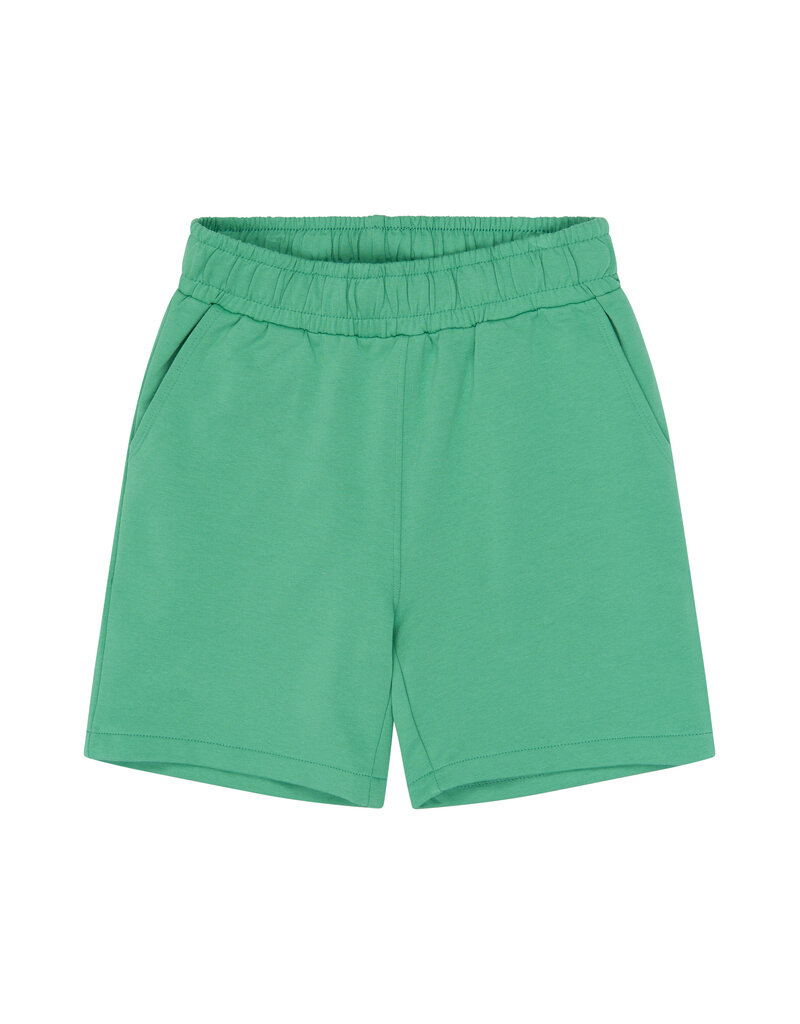 The New Titus Sweat Shorts Creme de Menthe