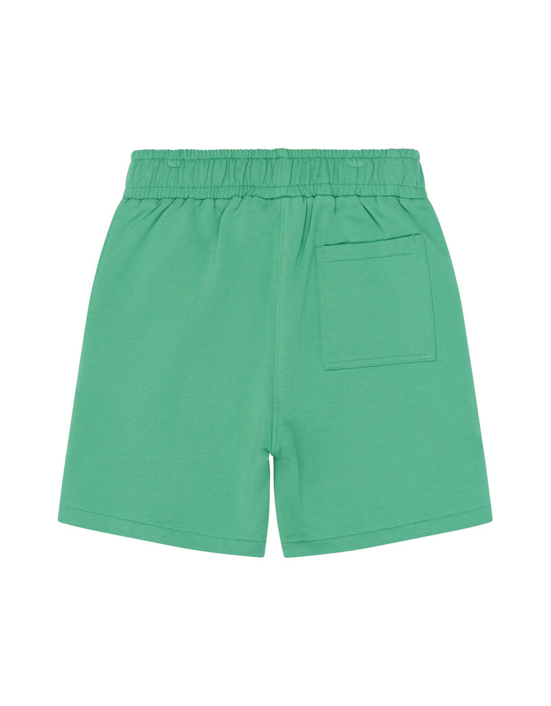 The New Titus Sweat Shorts Creme de Menthe