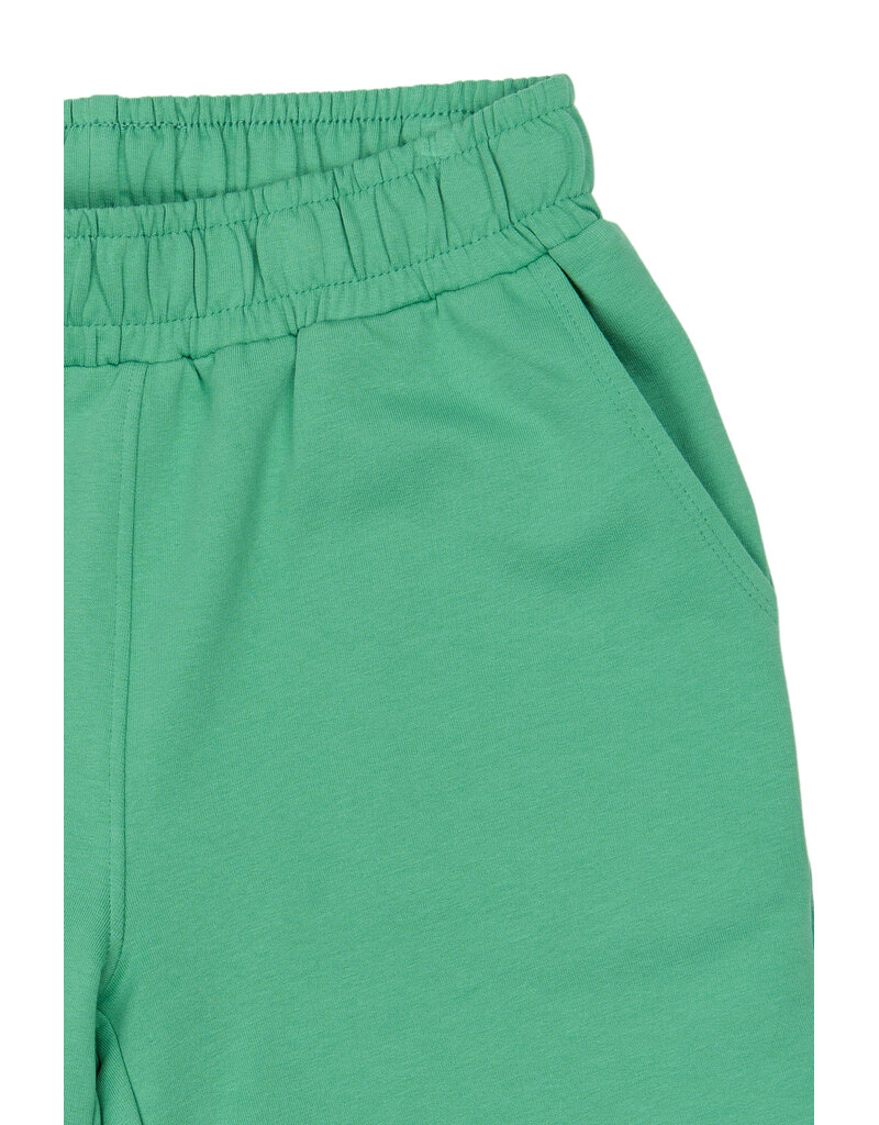 The New Titus Sweat Shorts Creme de Menthe
