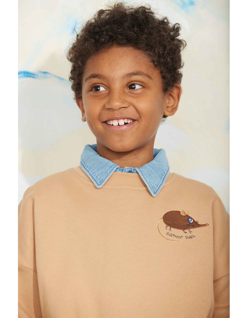 Mini Rodini Elephant shrew emb sweatshirt beige