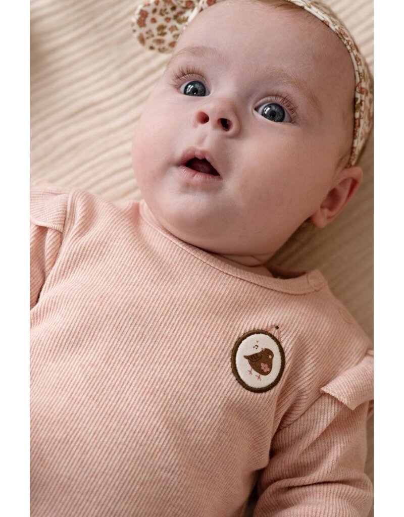 Feetje Longsleeve rib - Fall in Love Roze Melange