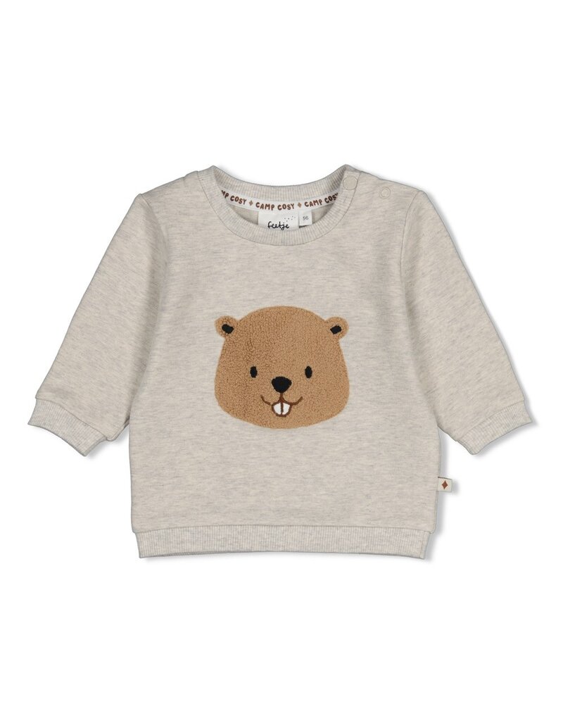 Feetje Sweater - Tiny Timber Tales Grijs Melange