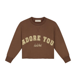Charlie Petite Lux Sweater Brown