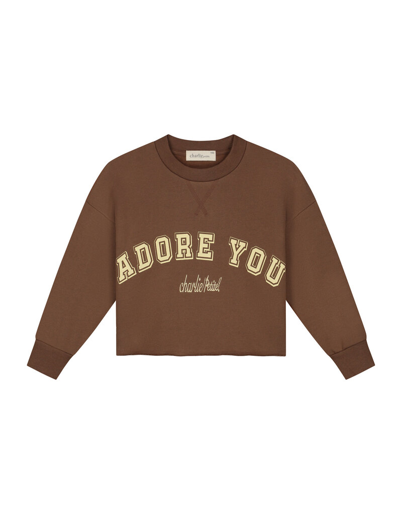 Charlie Petite Lux Sweater Brown
