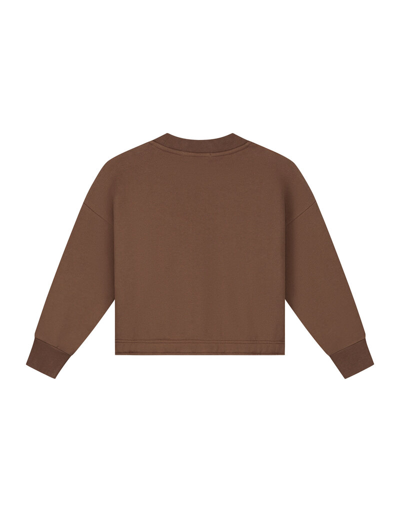 Charlie Petite Sara Sweater Brown