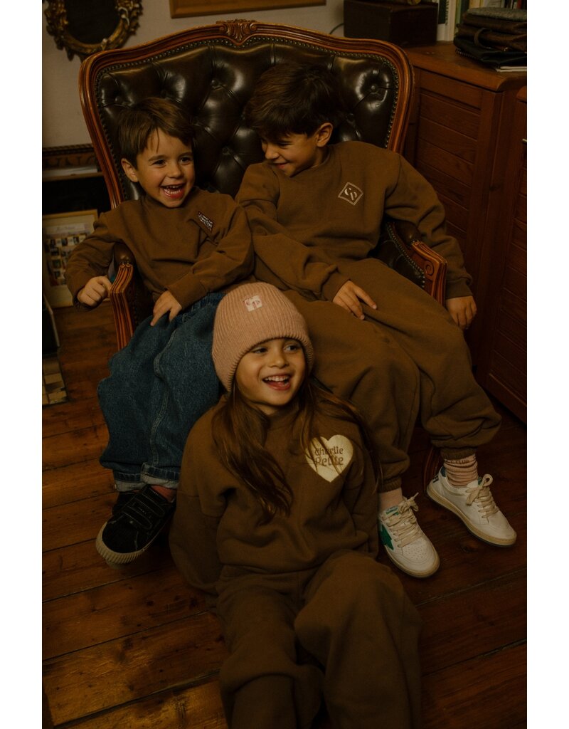 Charlie Petite Sara Sweater Brown
