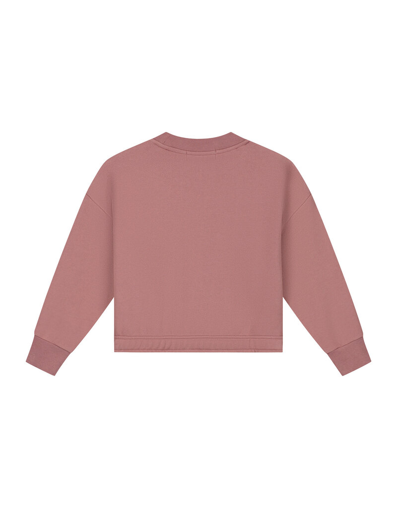 Charlie Petite Sara Sweater Pink