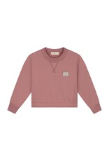 Charlie Petite Sara Sweater Pink