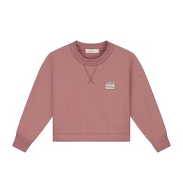 Charlie Petite Sara Sweater Pink