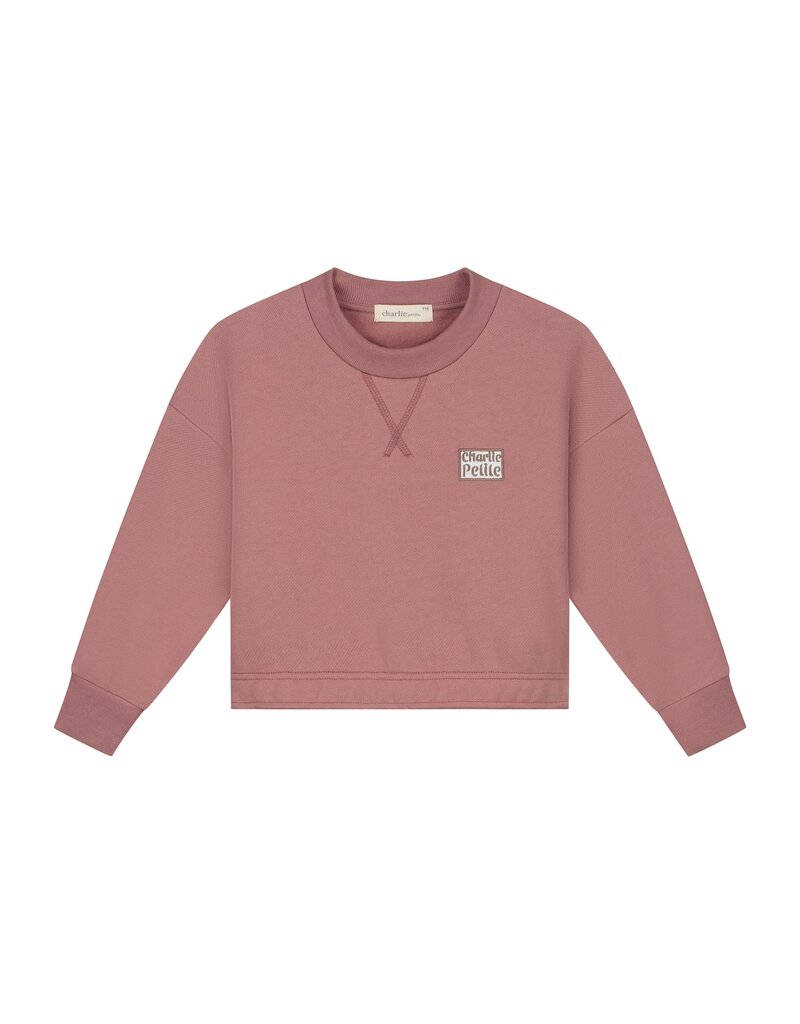 Charlie Petite Sara Sweater Pink
