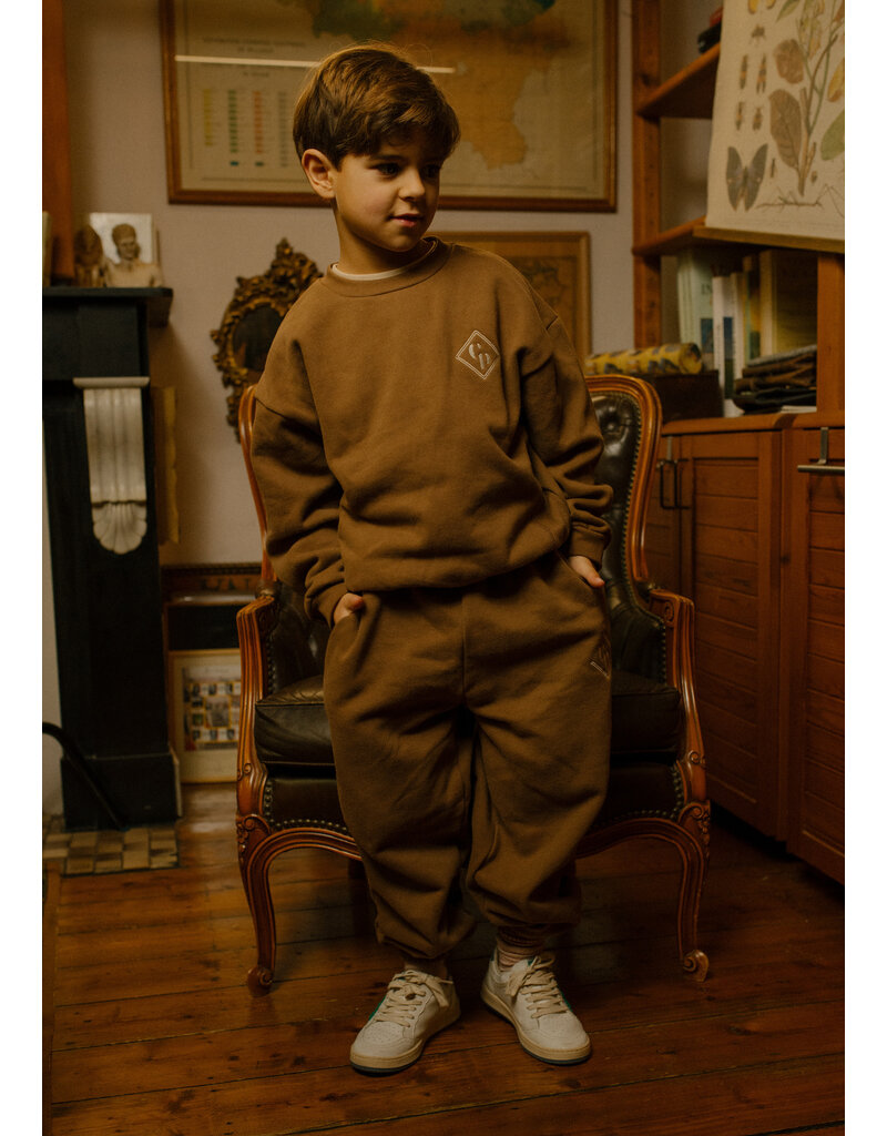 Charlie Petite Pepe Sweater Brown