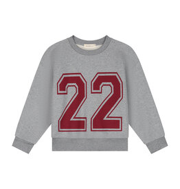 Charlie Petite Jones Sweater Grey Melange