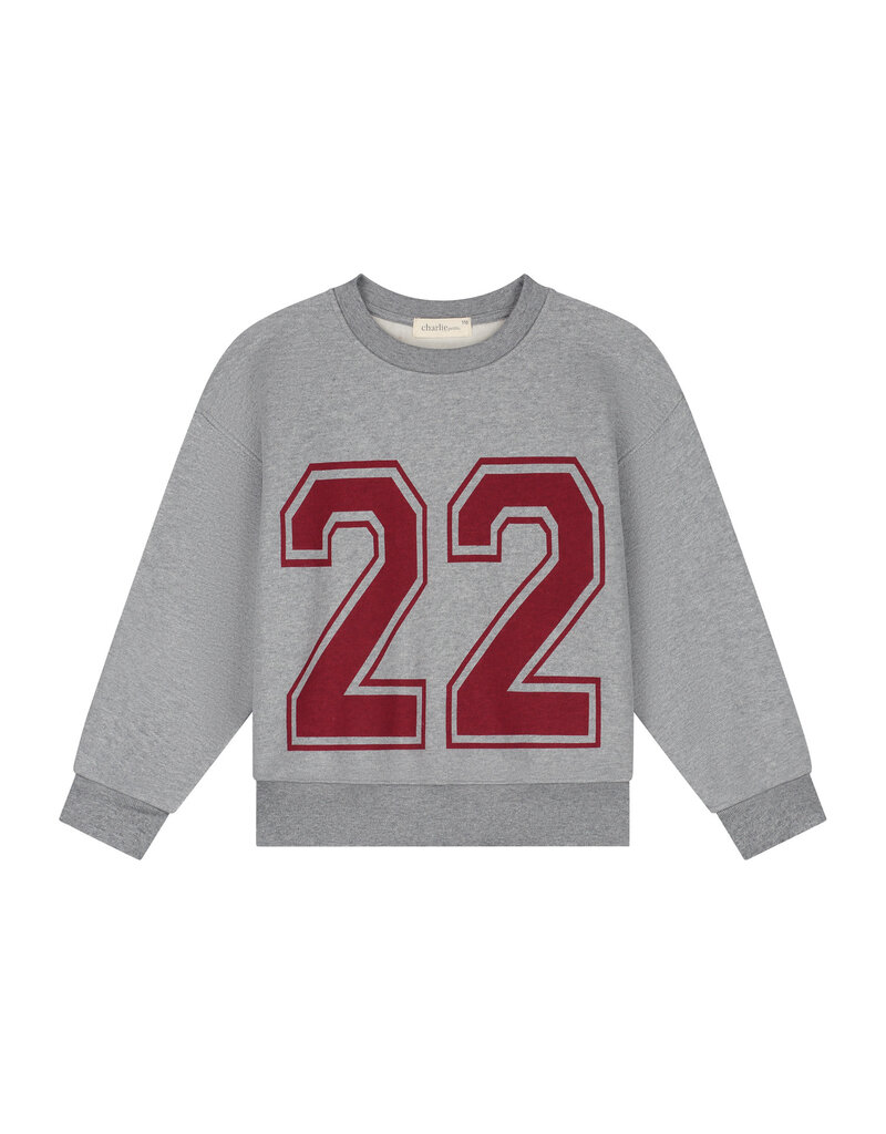 Charlie Petite Jones Sweater Grey Melange