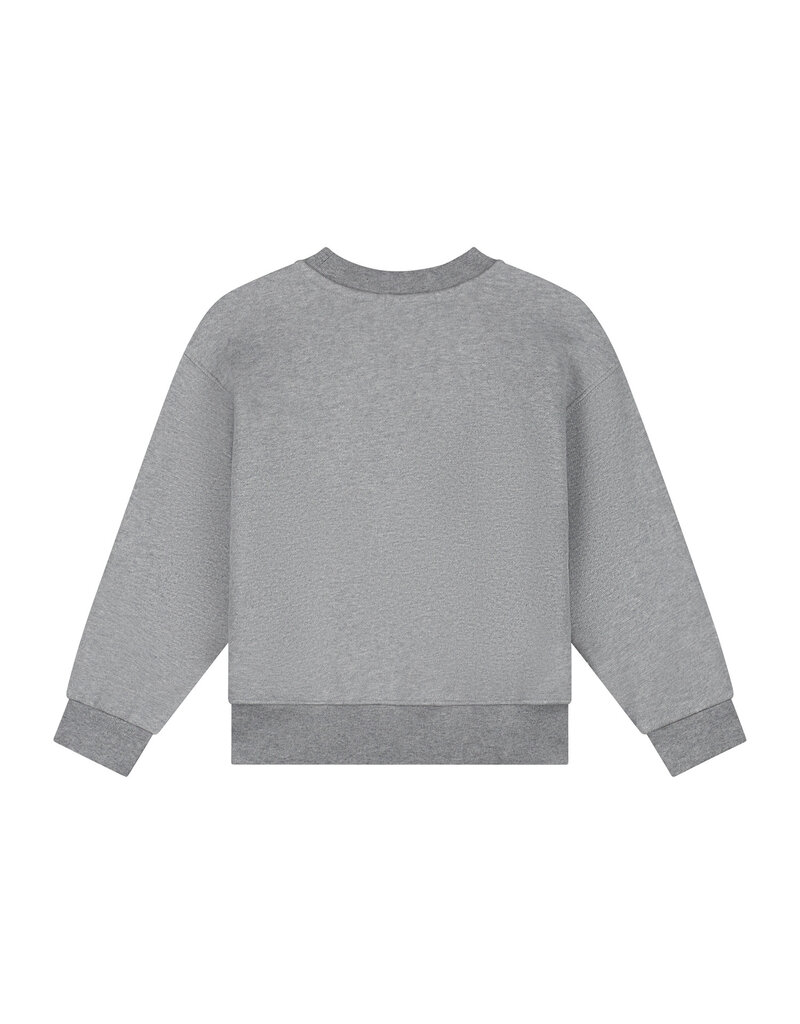 Charlie Petite Jones Sweater Grey Melange