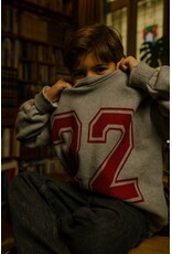 Charlie Petite Jones Sweater Grey Melange