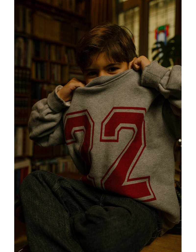 Charlie Petite Jones Sweater Grey Melange
