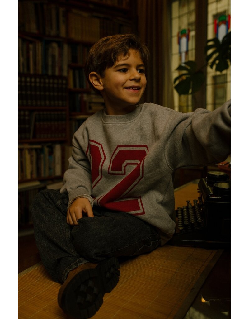Charlie Petite Jones Sweater Grey Melange