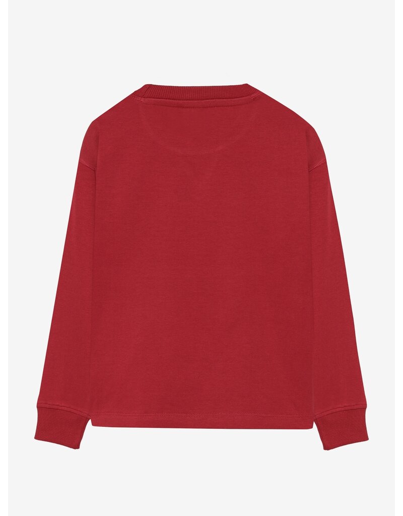 Daily Seven T-shirt Longsleeve Chest print Rythmic Red 