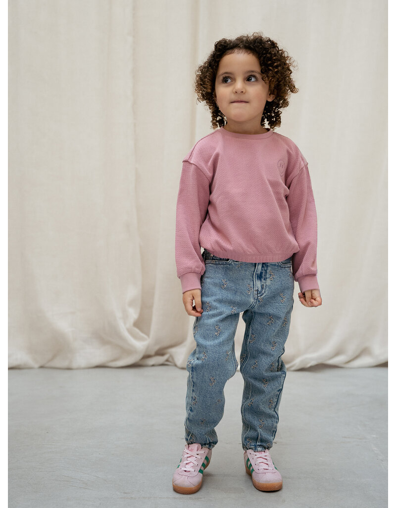 Daily Seven Denim Mom Fit Embroidery Used Medium Denim AW26