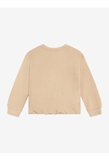 Daily Seven Sweater Cropped Artwork Ginger Root