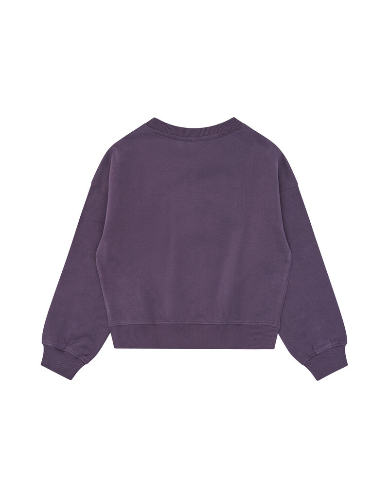 The New Velva Sweatshirt Sweet Grape
