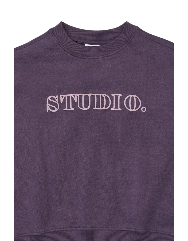 The New Velva Sweatshirt Sweet Grape