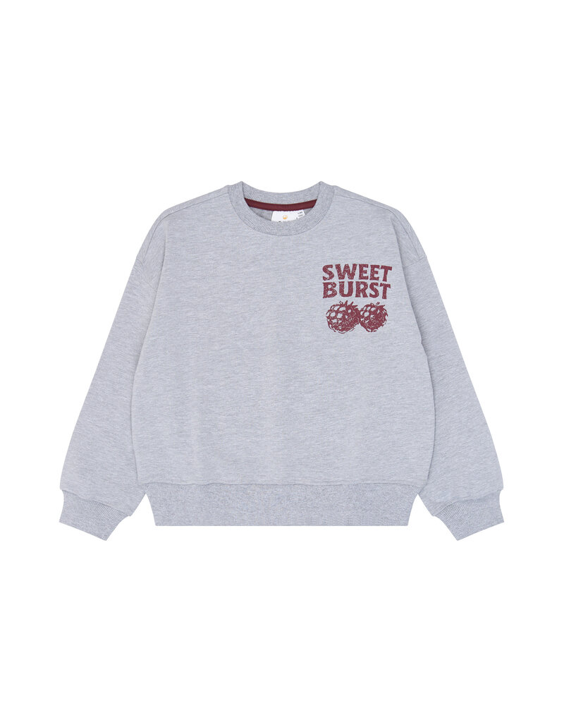 The New Veris Sweatshirt Light Grey Melange