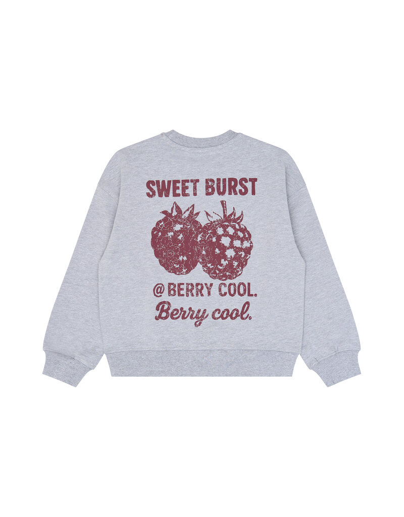 The New Veris Sweatshirt Light Grey Melange