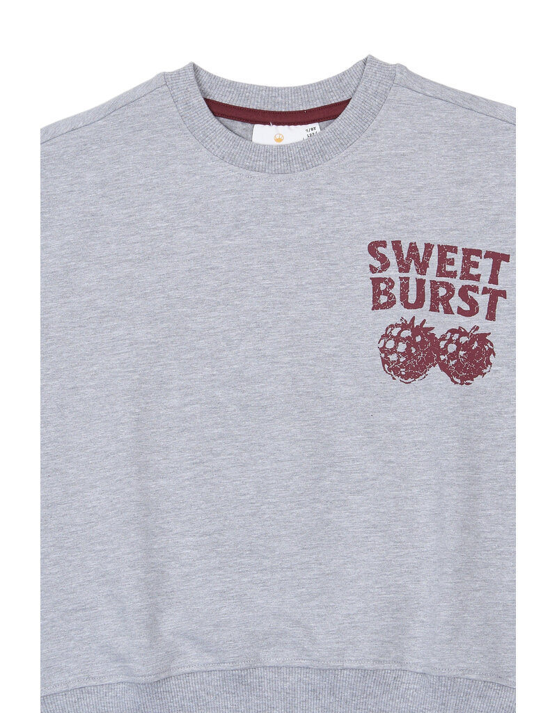 The New Veris Sweatshirt Light Grey Melange