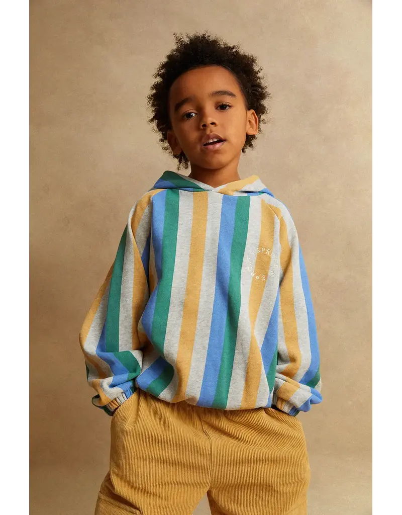 Sproet & Sprout Sweatshirt hoody stripes