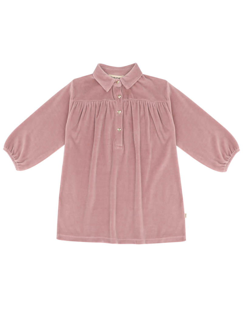 House of Jamie Shirt Collar Dress Mauveglow (Velvet)