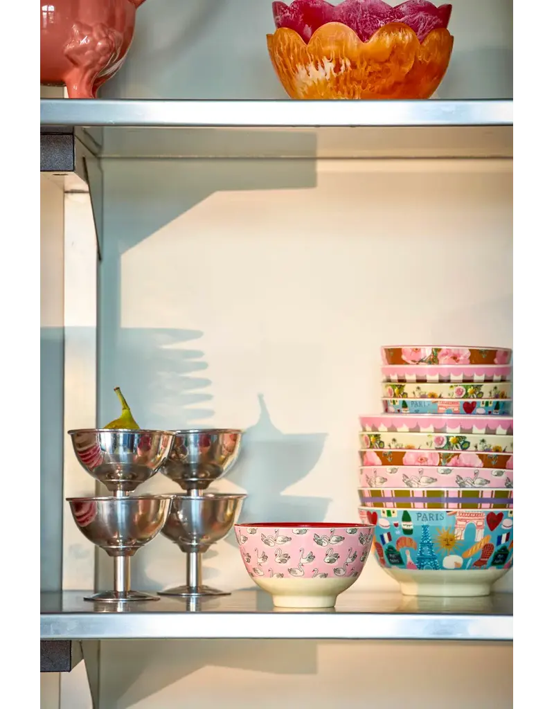 Rice Melamine Bowl with Swan in Paris Print - Small - 300 ml