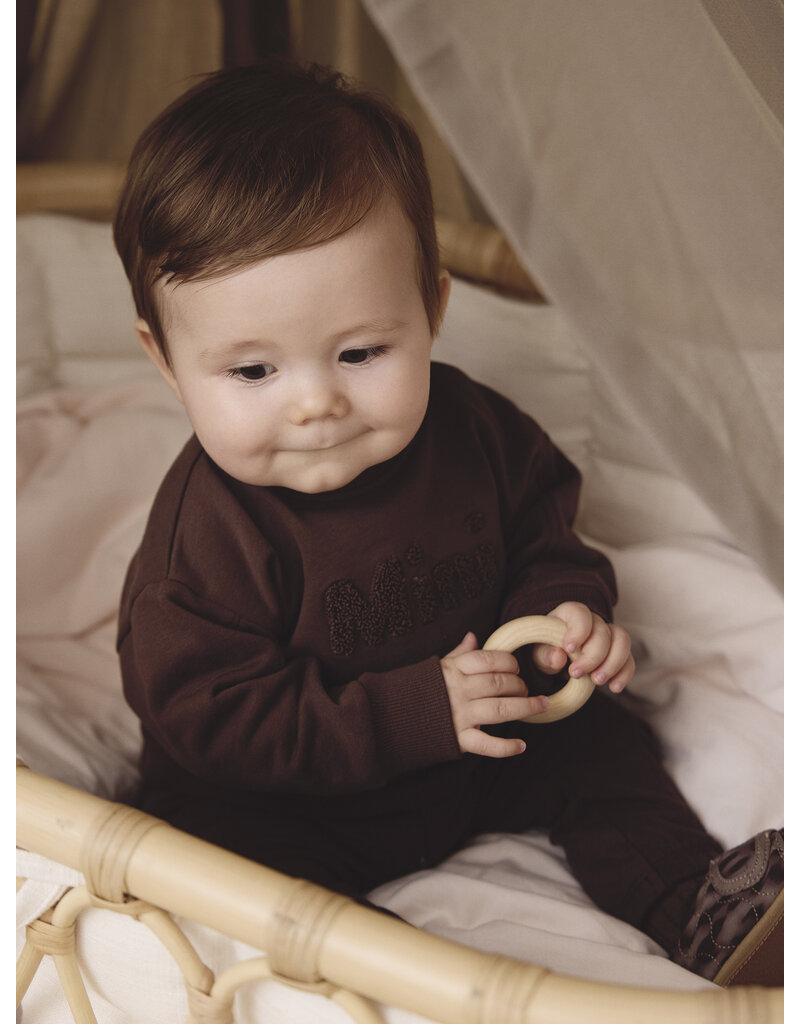 En Fant Sweatshirt Chestnut