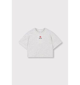 Alix the Label Knitted Batwing T-Shirt Light Grey Melange