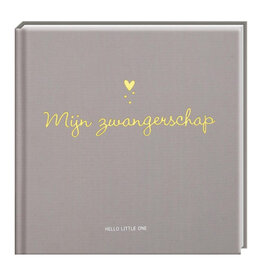 Boeken Hello Little one, invulboek - Mijn zwangerschap