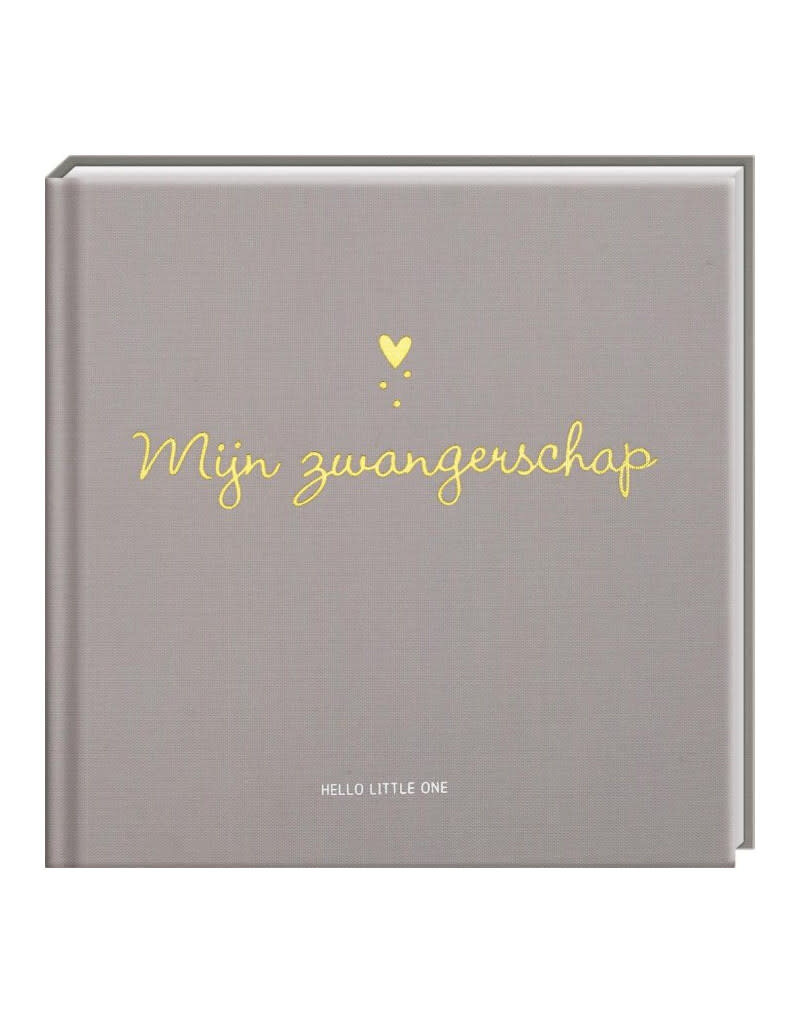 Boeken Hello Little one, invulboek - Mijn zwangerschap