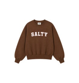 Salty Stitch Balloon Sweater Brown