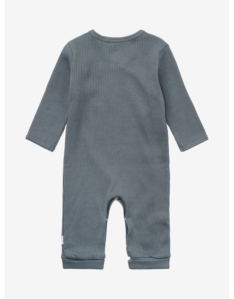 noppies Playsuit LS Stormy Weather