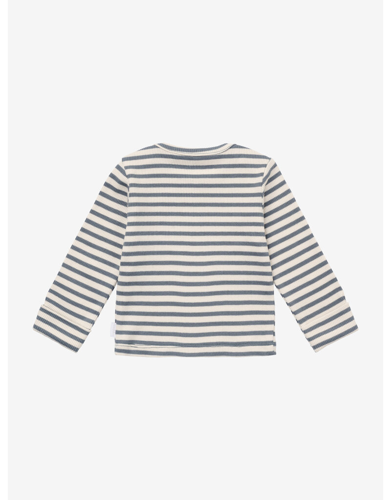 noppies Tee LS stripe Stormy Weather