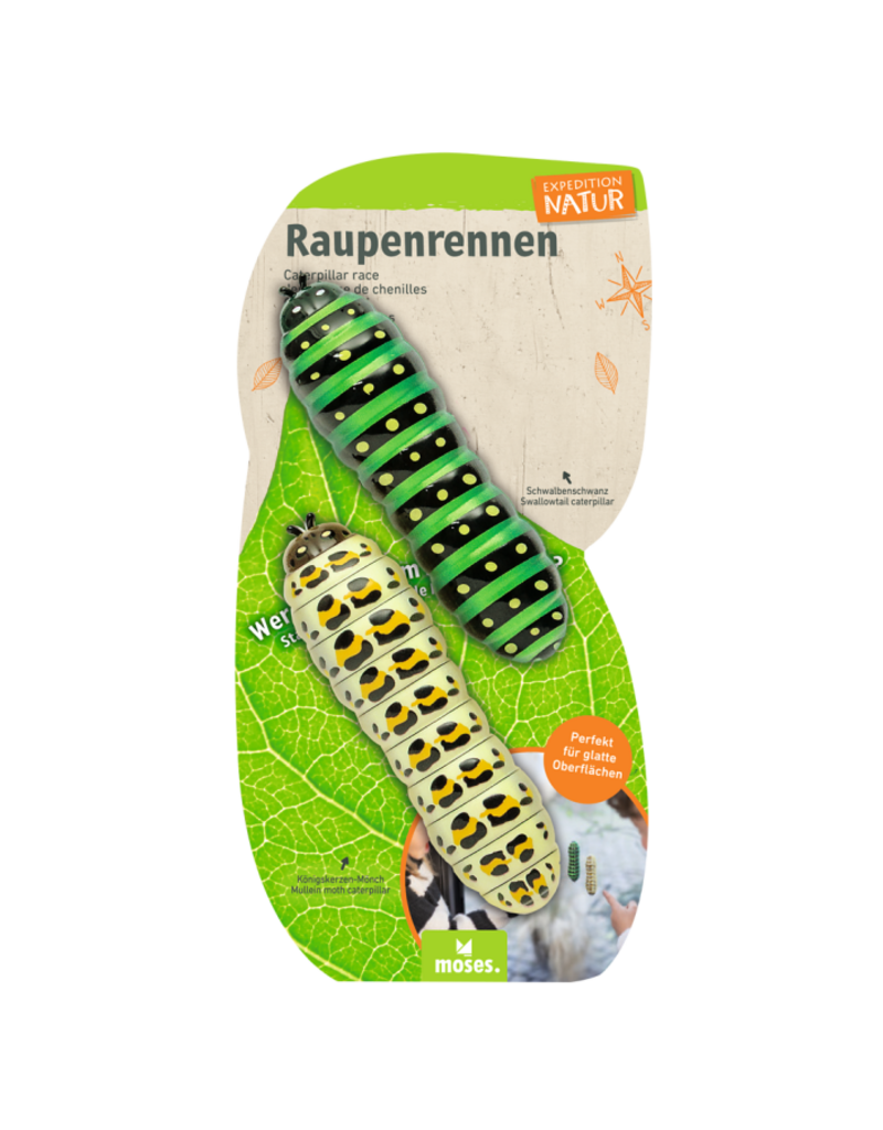 moses Expeditie natuur 2 rennende rupsen op kaart