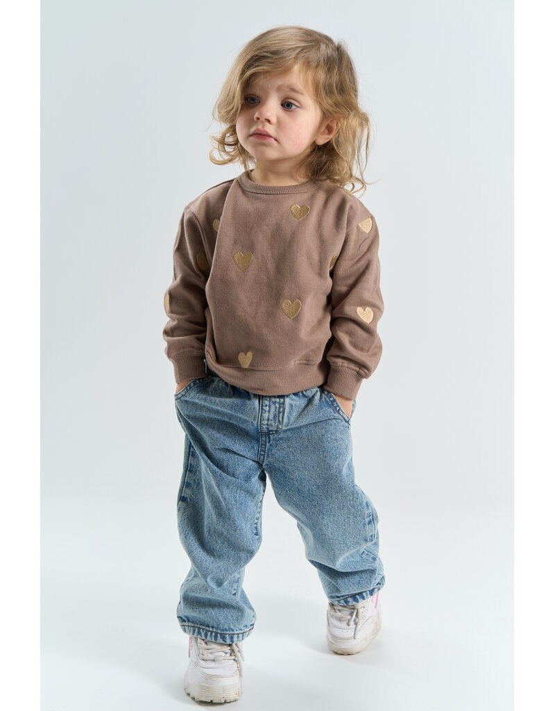 The New Yolie Sweatshirt Taupe Gray Emb.