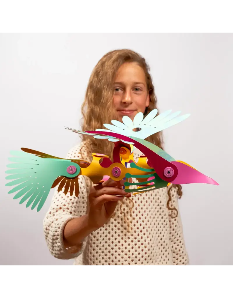 Clixo Tropical Birds Set van 24stuks