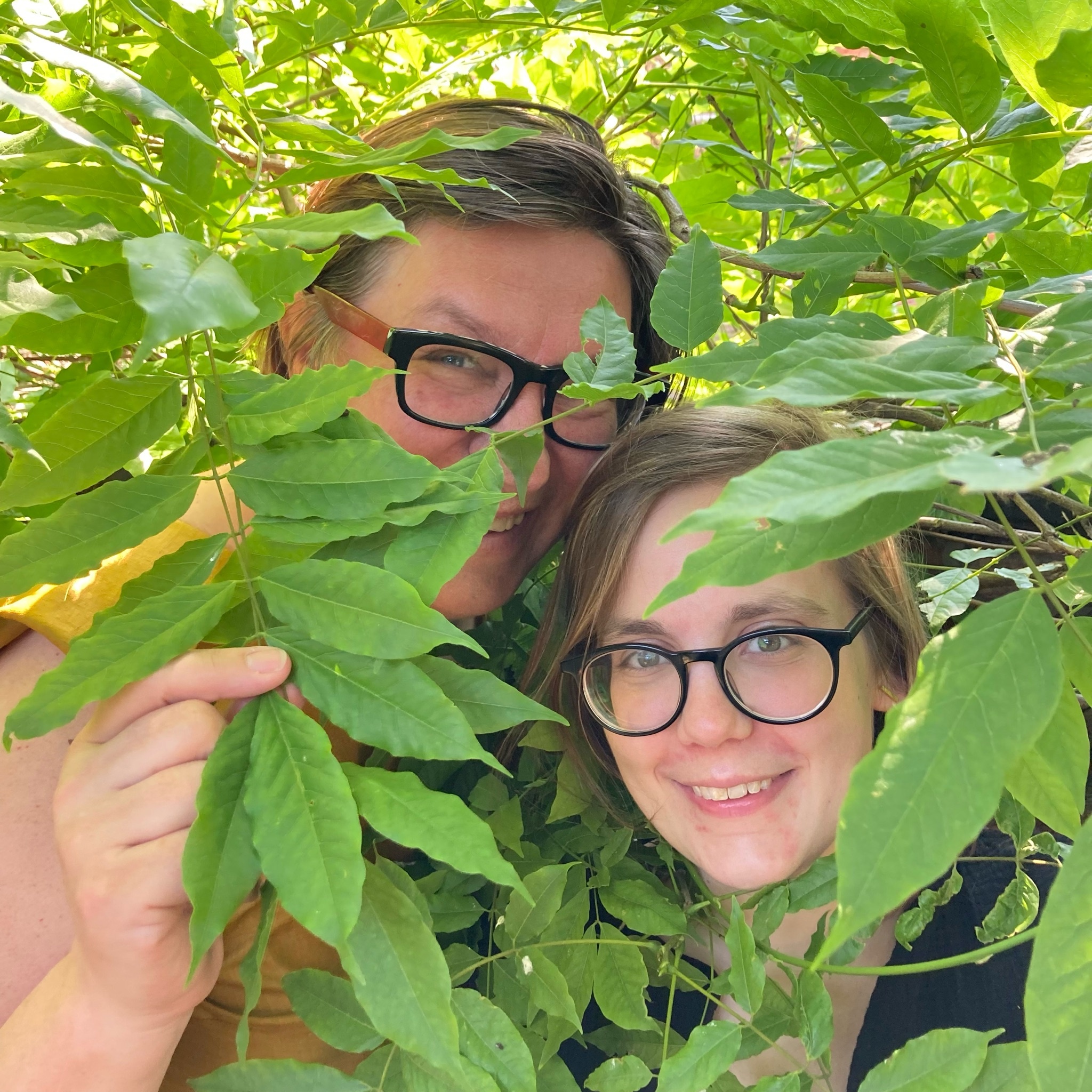 Het bos en de bomen - Wegwijs in duurzame stoffen